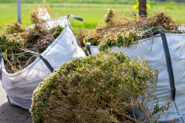 Best Household Junk Removal  in Placentia, CA